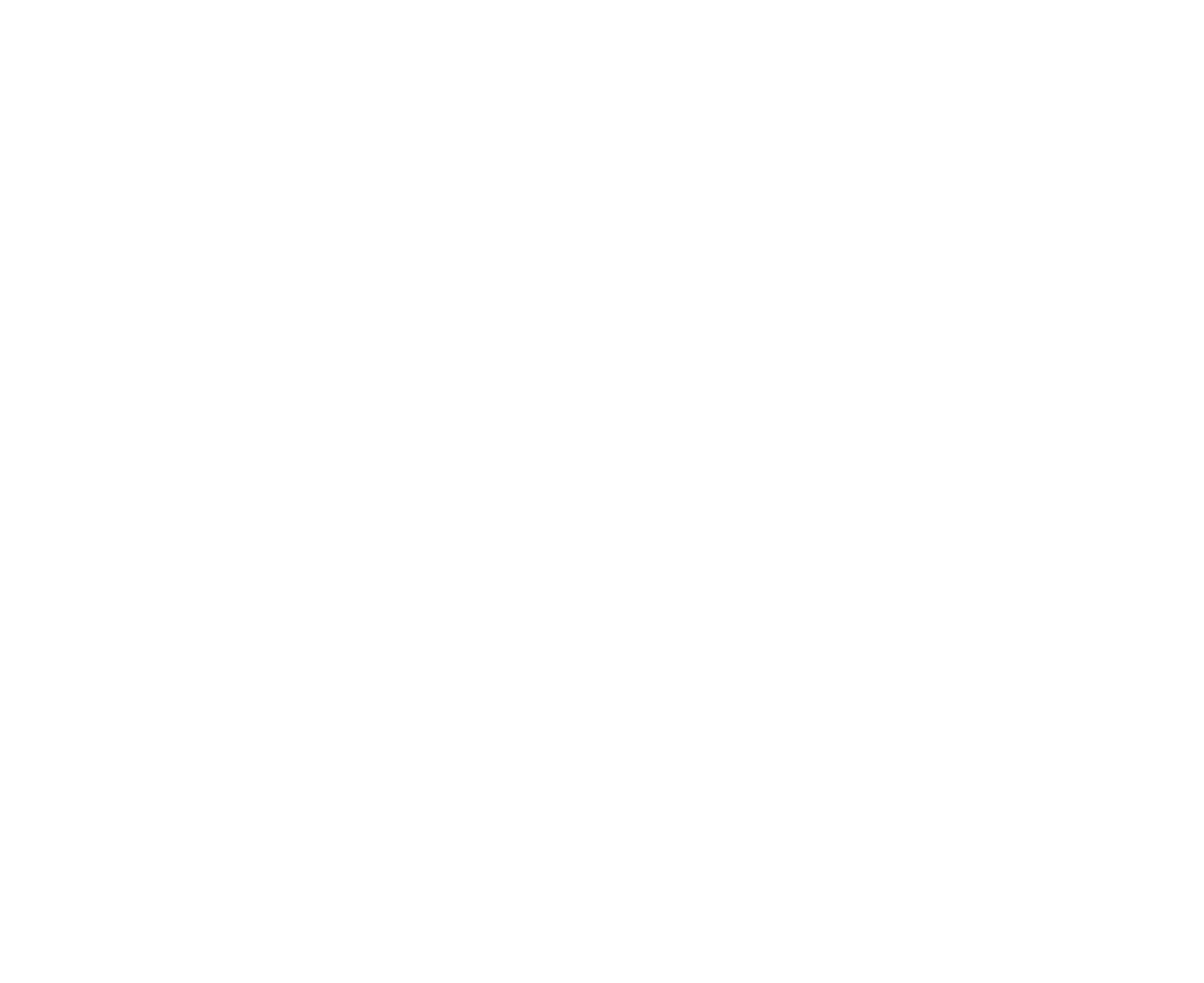 Ex Network Capital